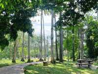 Picnic Amidst Nature at Wetland Putrajaya