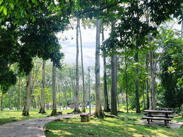 Picnic Amidst Nature at Wetland Putrajaya