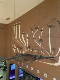 Shanghai Natural Museum 🐒🫎🦕🦖🦑🐋