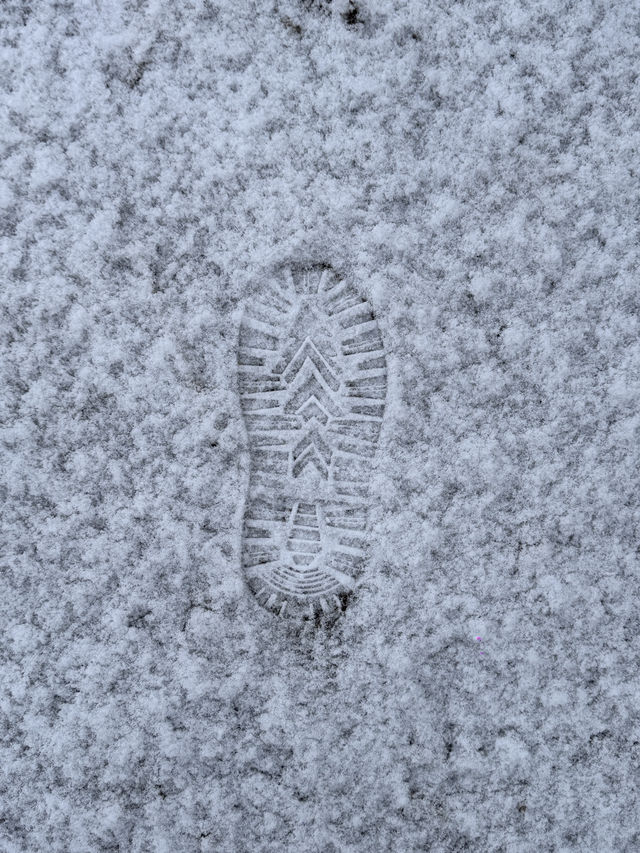 ❄️ "Harbin-Mohe River, a journey to the extreme north" ❄️ "Harbin-Mohe River, a journey to the extreme north"