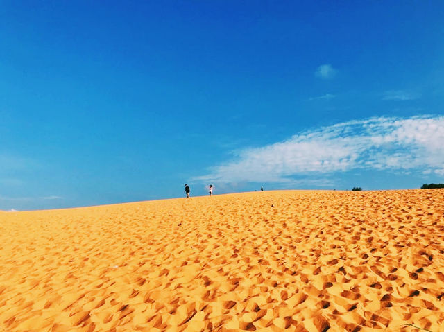 越南🇻🇳紅沙丘 越南🇻🇳紅沙丘