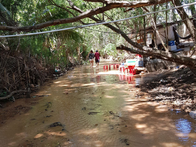 🌾 Fairy Stream, Mũi Né 🇻🇳