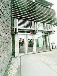 Northern Lights Find🌌