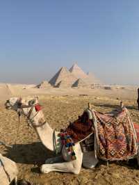 🐪埃及|吉薩金字塔群 騎駱駝體驗|金字塔大片輕鬆拍