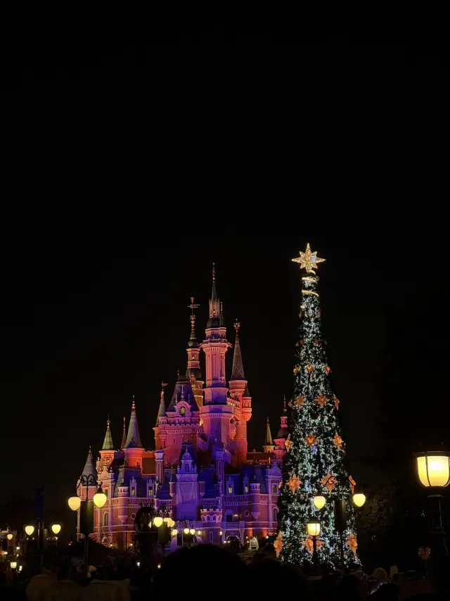Shanghai Disneyland First Timer Tips