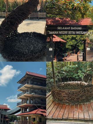 エコシステムの生きた教室