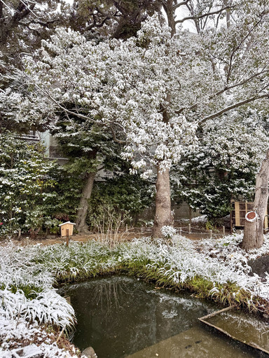 ☃️ Winter Quiet in a Historic Tokyo Garden | Trip.com Tokyo