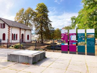 บาร์บาราเธอร์เมน