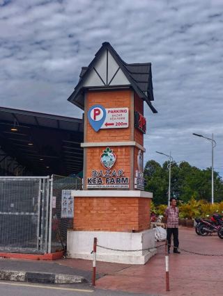 Red Windmill Vibes at Brinchang Park & Fresh Finds at Bazar Kea Farm 🌿🌧️
