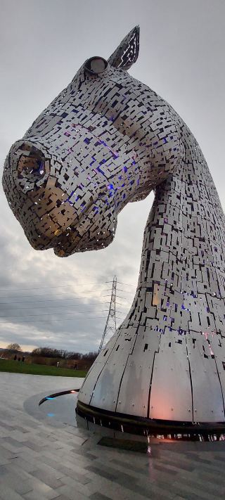 ยักษ์ใหญ่ในความเงียบสงบ 🤍