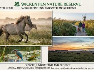 National Trust - Wicken Fen Nature Reserve