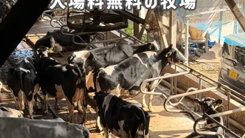 【埼玉】上尾市にある人気の酪農牧場🐄✨  — traveler post in 上尾