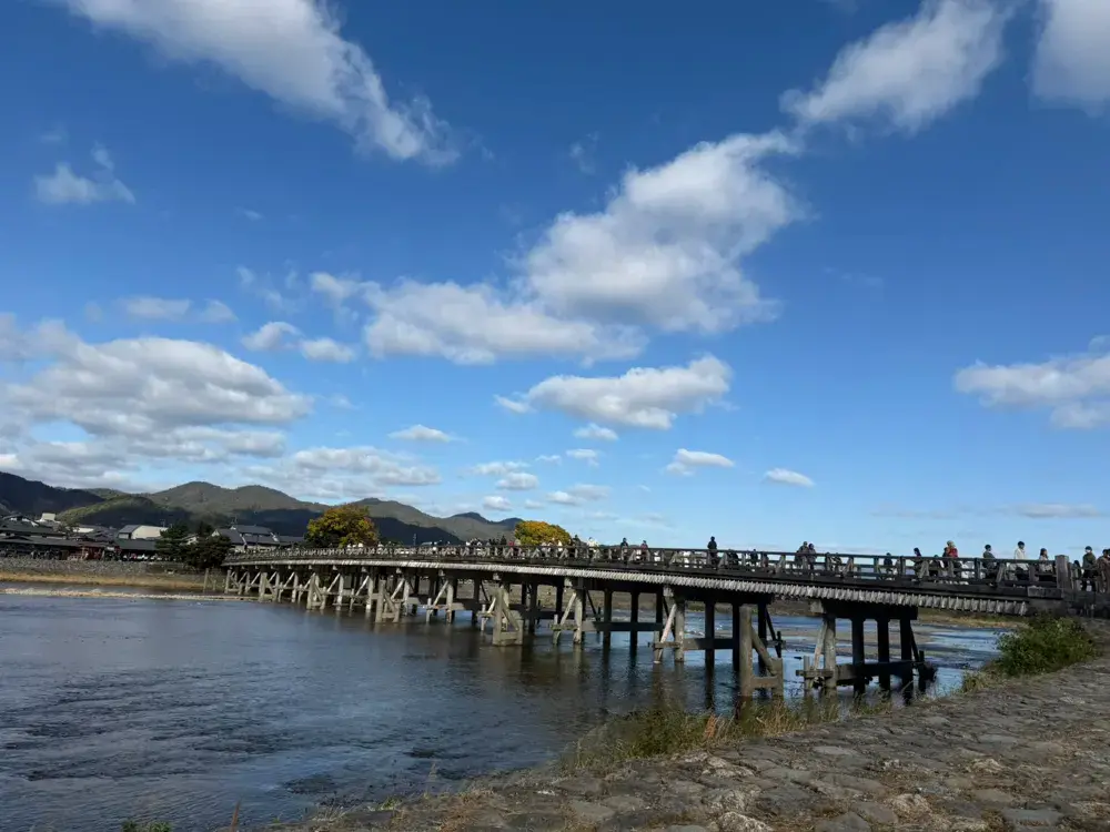 🍃必打卡京都嵐山竹林＆渡月橋｜晴空萬里秋日漫遊📸