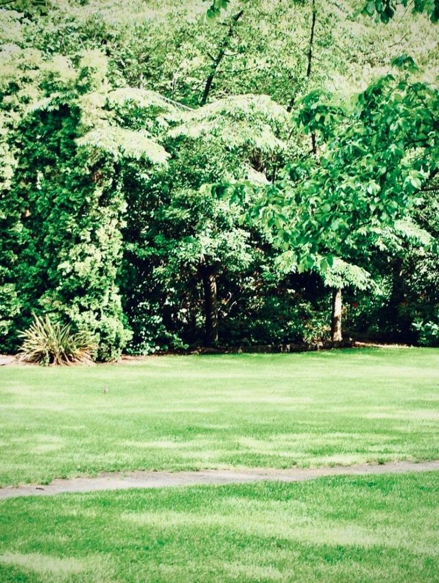 Peru Chachani Laguna Salinas Cliff Mossy High Plateau