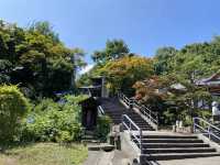 🏮小樽隱世秘境|住吉神社+天上寺夏日閒遊散步路線🌸