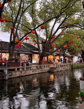 The Underrated Hidden Gem of Suzhou : Finding Peace Beyond the Crowds