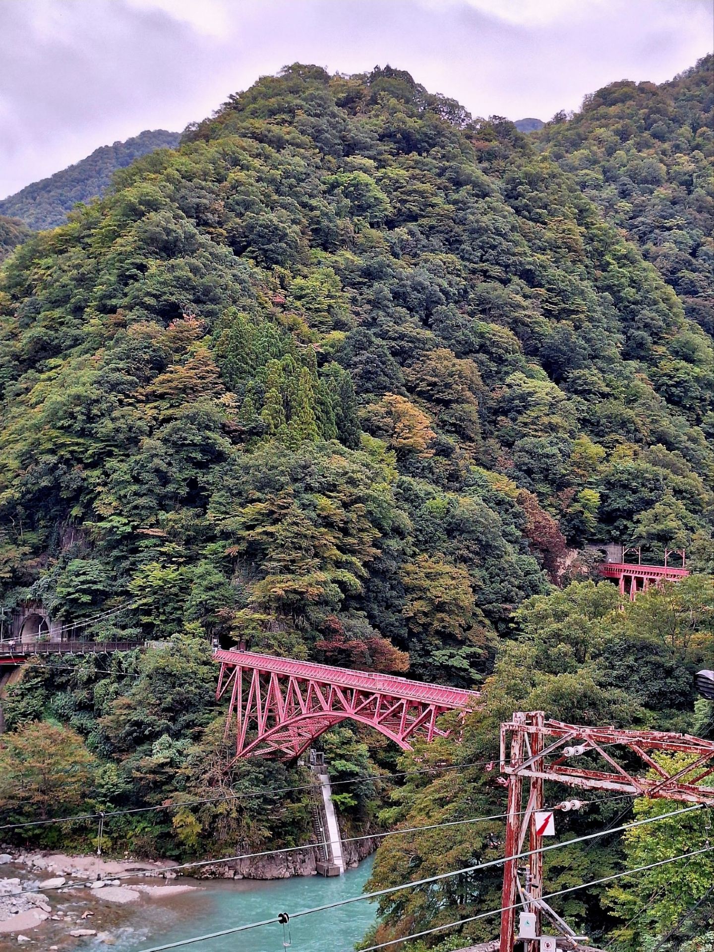 4-Day Compact Toyama Itinerary: Autumn Foliage at Tateyama Kurobe, Takaoka Daibutsu, and Amaharashi Coast