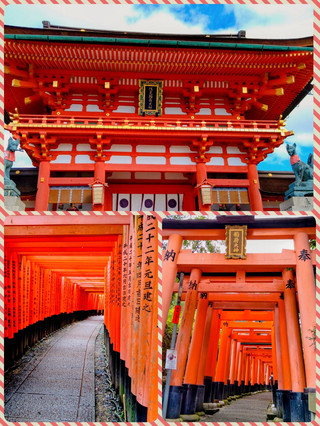 【京都・朝活】千本鳥居を独り占め!伏見稲荷大社に早朝参拝⛩️✨