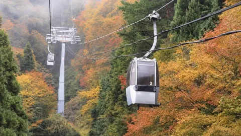 【長野】ヘブンスそのはらレビュー｜パステルカラーの紅葉と真っ赤な花畑の絶景ロープウェイ体験 — traveler post in 阿智村