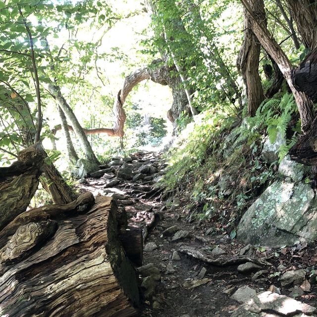 Hiking at Mary Rock Trial - Virginia 