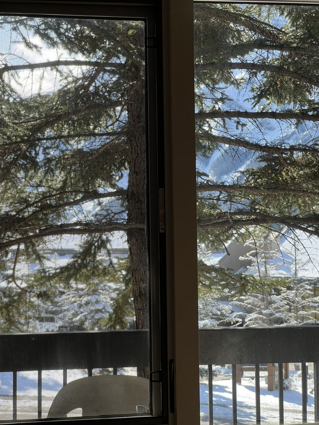 Calgary 8 Days Itinerary