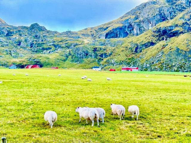 挪威🇳🇴景點-Uttakleiv strand