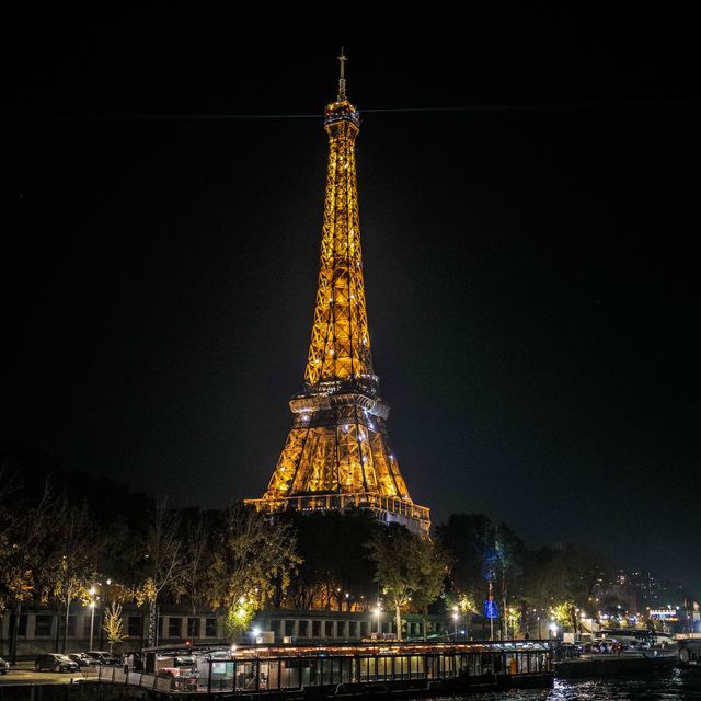 BATEAUX MOUCHES Boat Experience /Paris