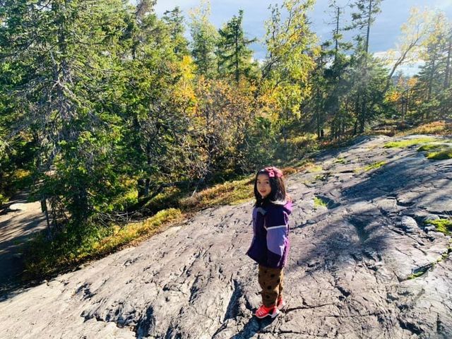 芬蘭🇫🇮景點-Paha-koli