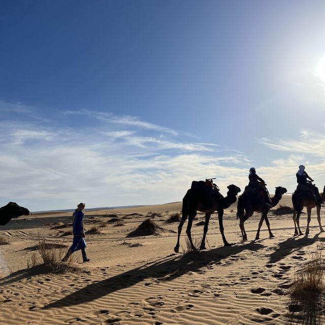 Golden dunes, Nomad life and Camel ride