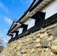 【滋賀県/国宝  彦根城🏯】
