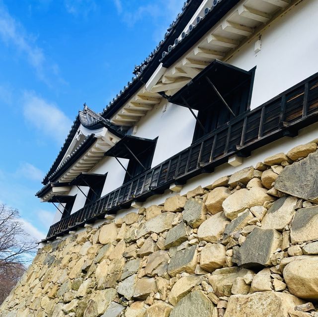 【滋賀県/国宝  彦根城🏯】