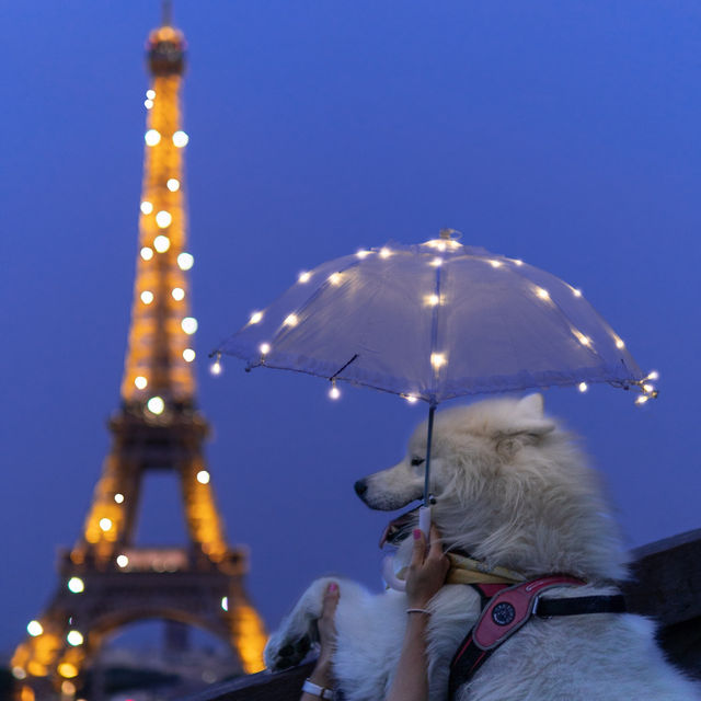 The Eiffel Tower’s night-time sparkle secret