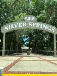 Thrills and Spills at Silverfern Springs