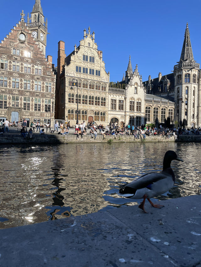 Ghent beautiful city 🇧🇪