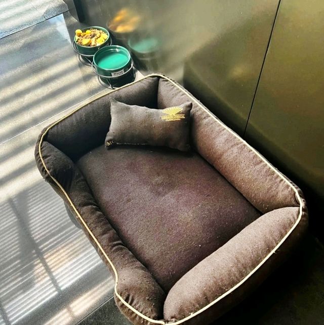《廣州文華東方酒店》🪅真正為孩童打造的親子房🧸