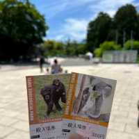 🐨多摩動物公園🦝超級大的動物園，與動物近距離互動