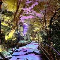 🌸東京椿山莊酒店🌸酒店庭院堪稱絕景