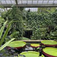 London ｜ Must visit royal garden in London