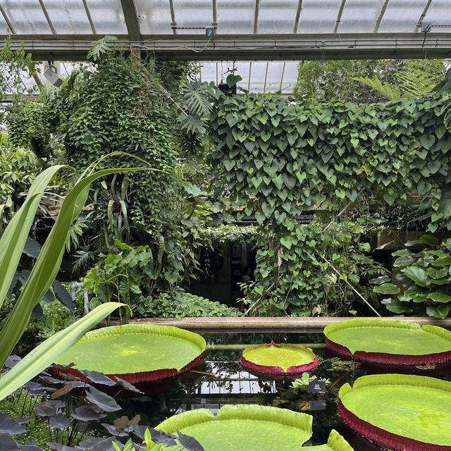 London ｜ Must visit royal garden in London
