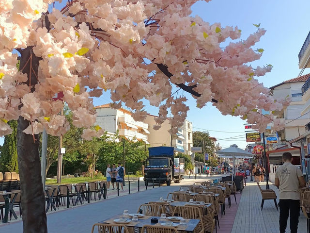 Skiathos 🇬🇷❤️