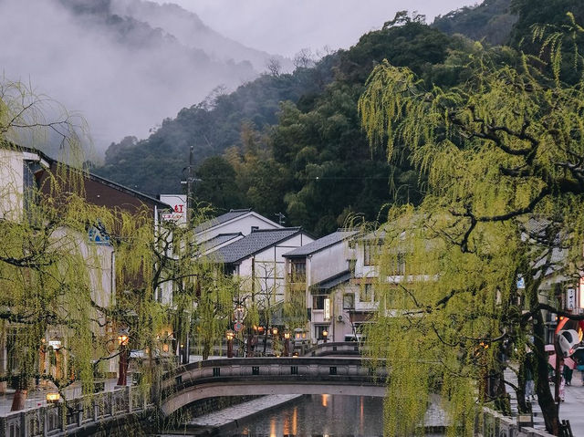 Kyoto, Japan 🇯🇵 