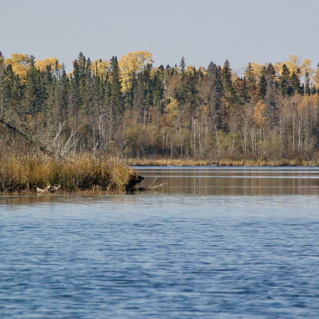 A Tranquil Paddle Through Autumn’s Colors 🌲🍁