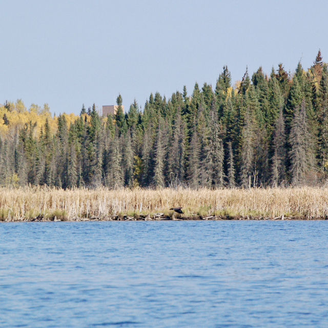 A Tranquil Paddle Through Autumn’s Colors 🌲🍁