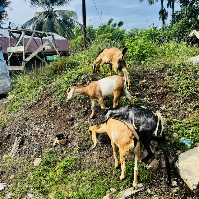 INDONESIA - more than just Bali