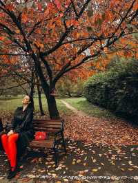모스크바: 반짝이는 색상으로 가을의 매혹적인 경험 🍂
