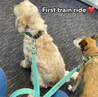 First train ride