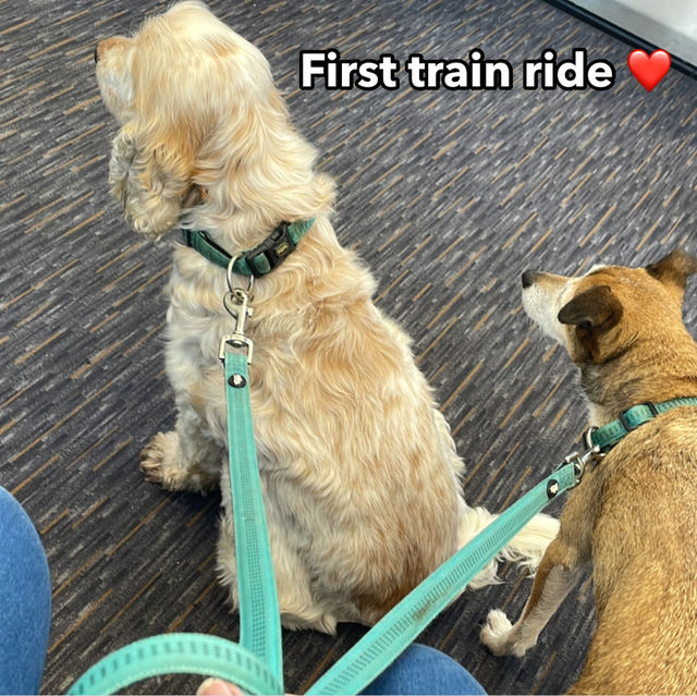 First train ride