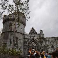 Theme park fun and alligators 