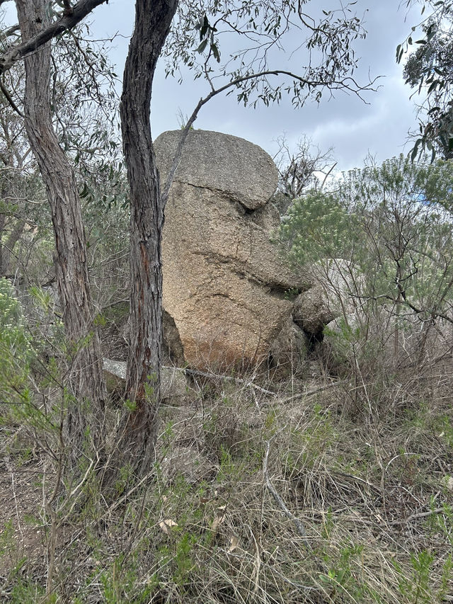 ⛰️🚴 Explore You Yangs Regional Park: Hiking & Biking Among Ancient Granite Peaks