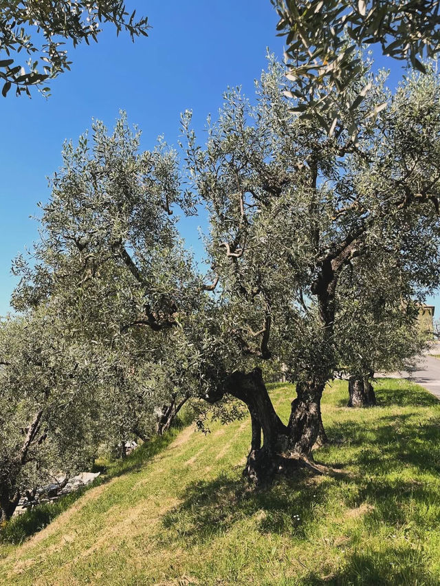 Frosinone spring vibes 🇮🇹
